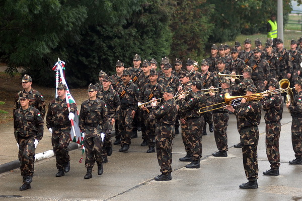 2377083_lokatorMD_0004_resize[1].jpg